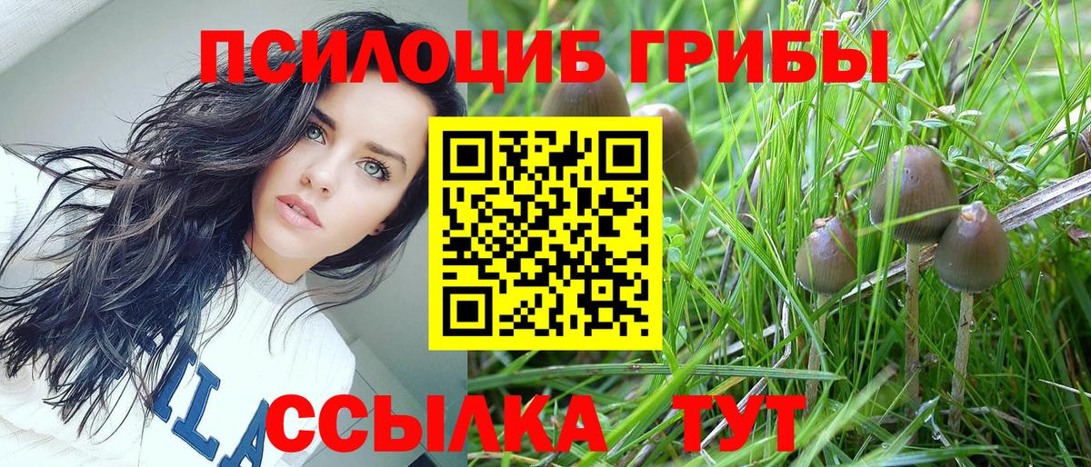 Псилоцибиновые грибы GOLDEN TEACHER Кумертау